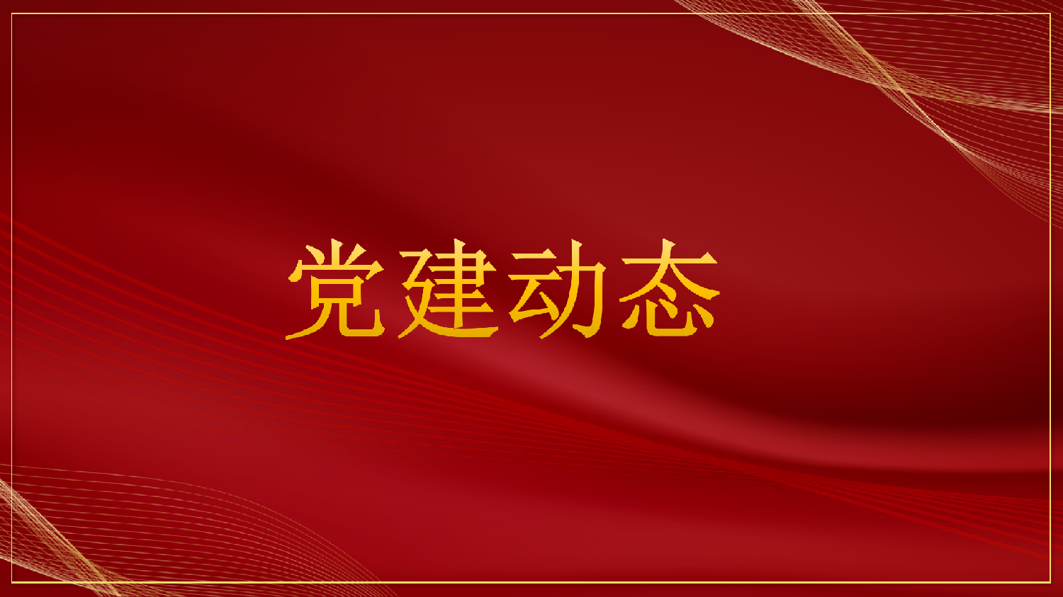 辽宁资产管理有限公司党总支召开总支委会（扩大）会议研究部署省委巡视反馈意见整改工作